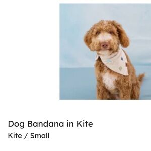 Kyte Baby - Dog Bandana